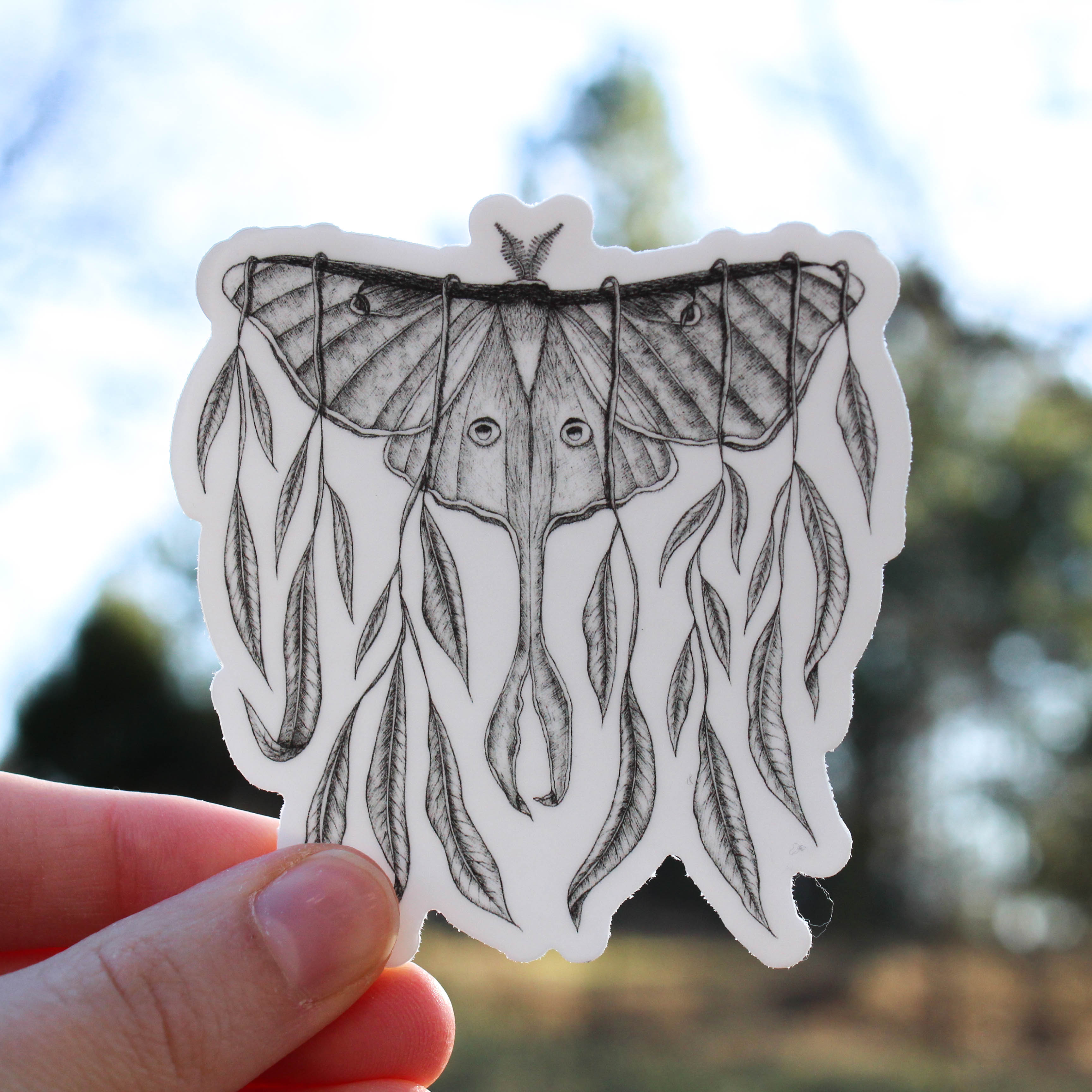 Luna Moth | Vinyl Sticker